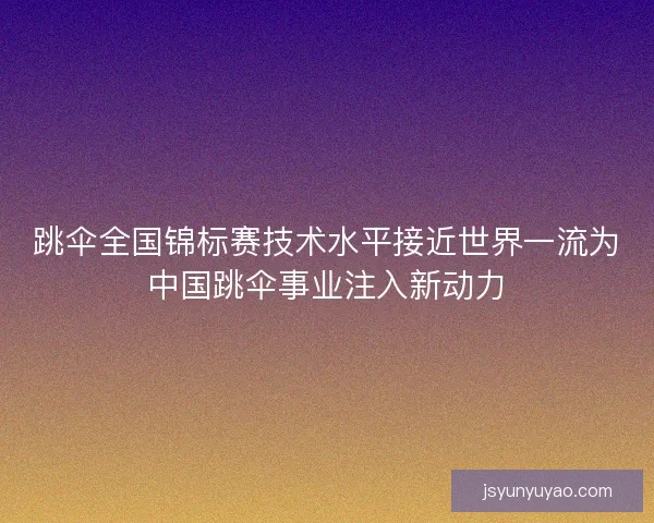 跳伞全国锦标赛技术水平接近世界一流为中国跳伞事业注入新动力